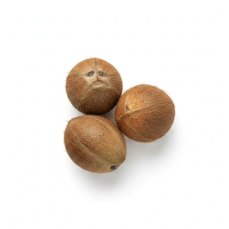 Coconuts