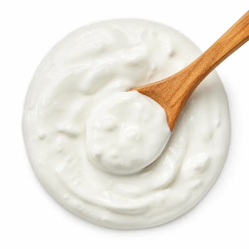 Lactobacillus Strains